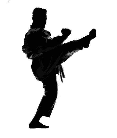 Shadow Karate Kick